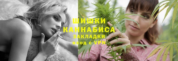 МДПВ Козельск
