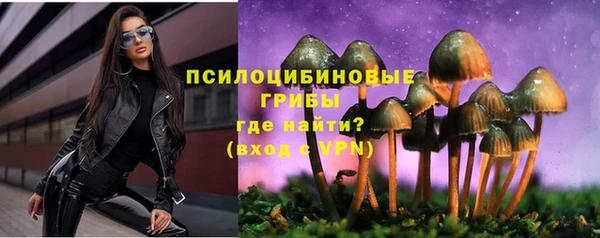 мдпв Кинешма