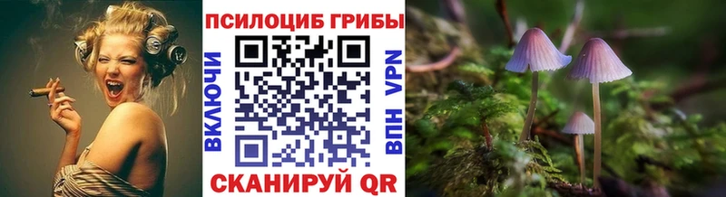 Галлюциногенные грибы GOLDEN TEACHER  Кохма 